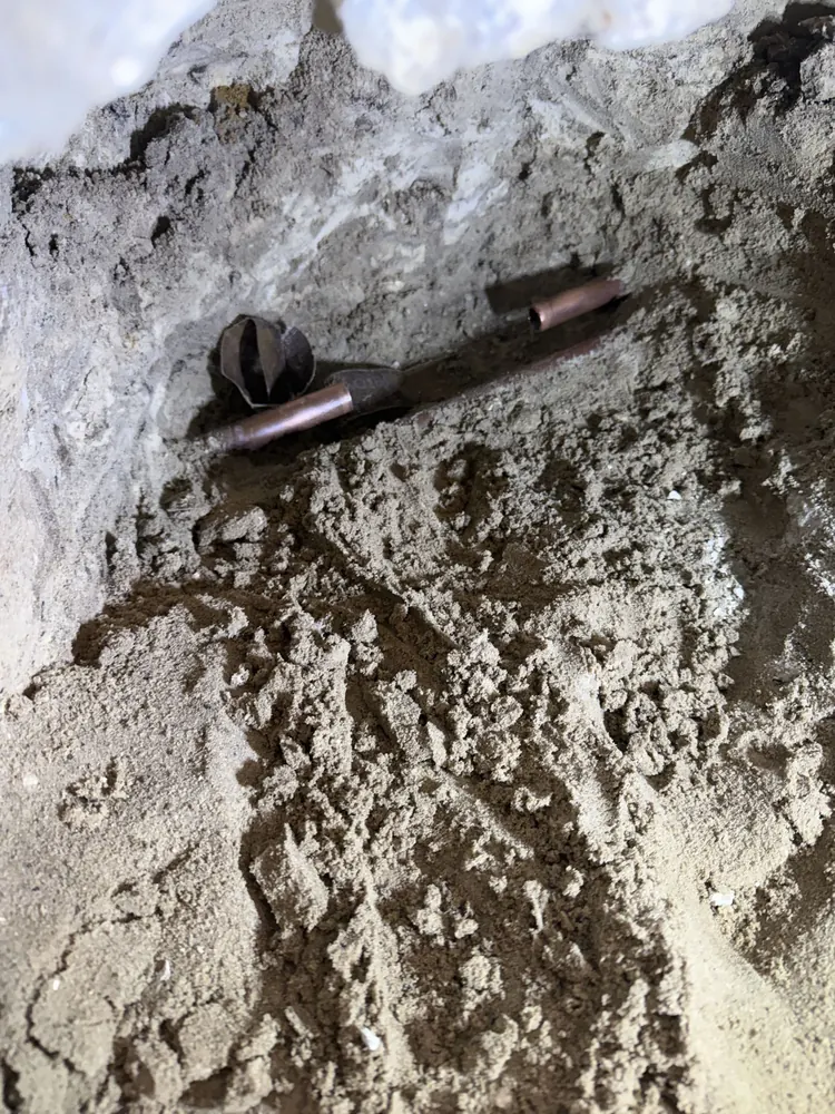 A cleared section of drain line pulled for inspection
