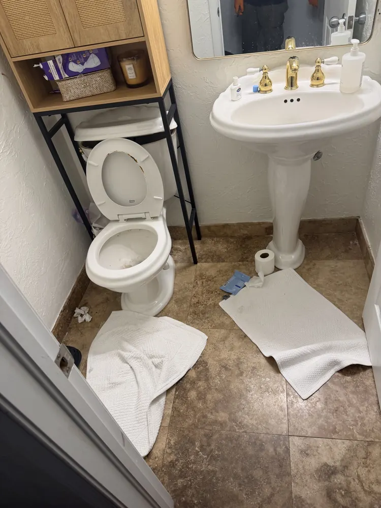 A newly installed toilet and pedestal sink